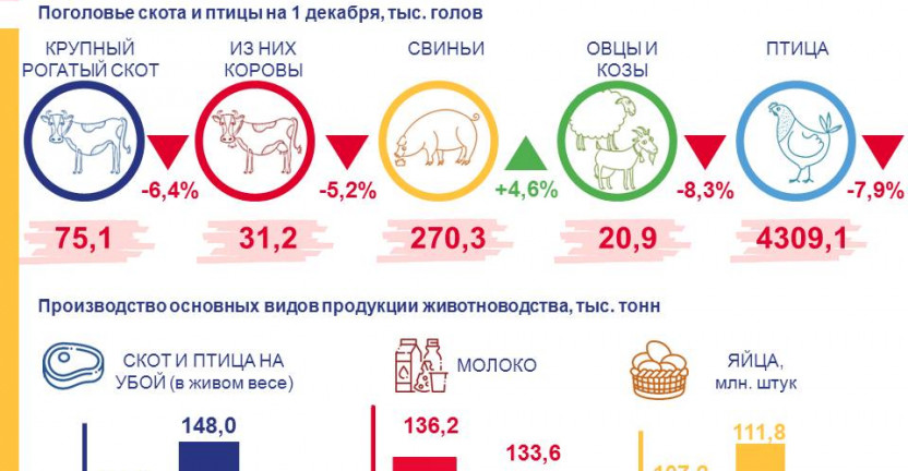 Производство продукции животноводства за январь-ноябрь 2021 года
